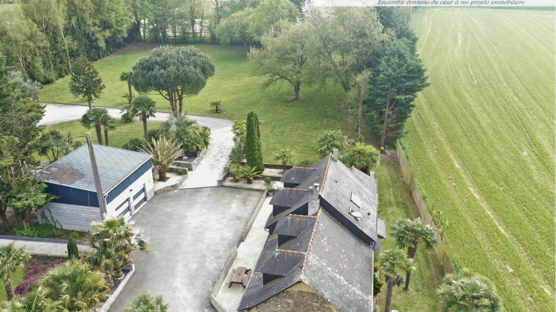 Maison de caractère T6 136 m2 - 2 grandes dépendances (72 + 49 m2) - 5 200 m2 de terrain
