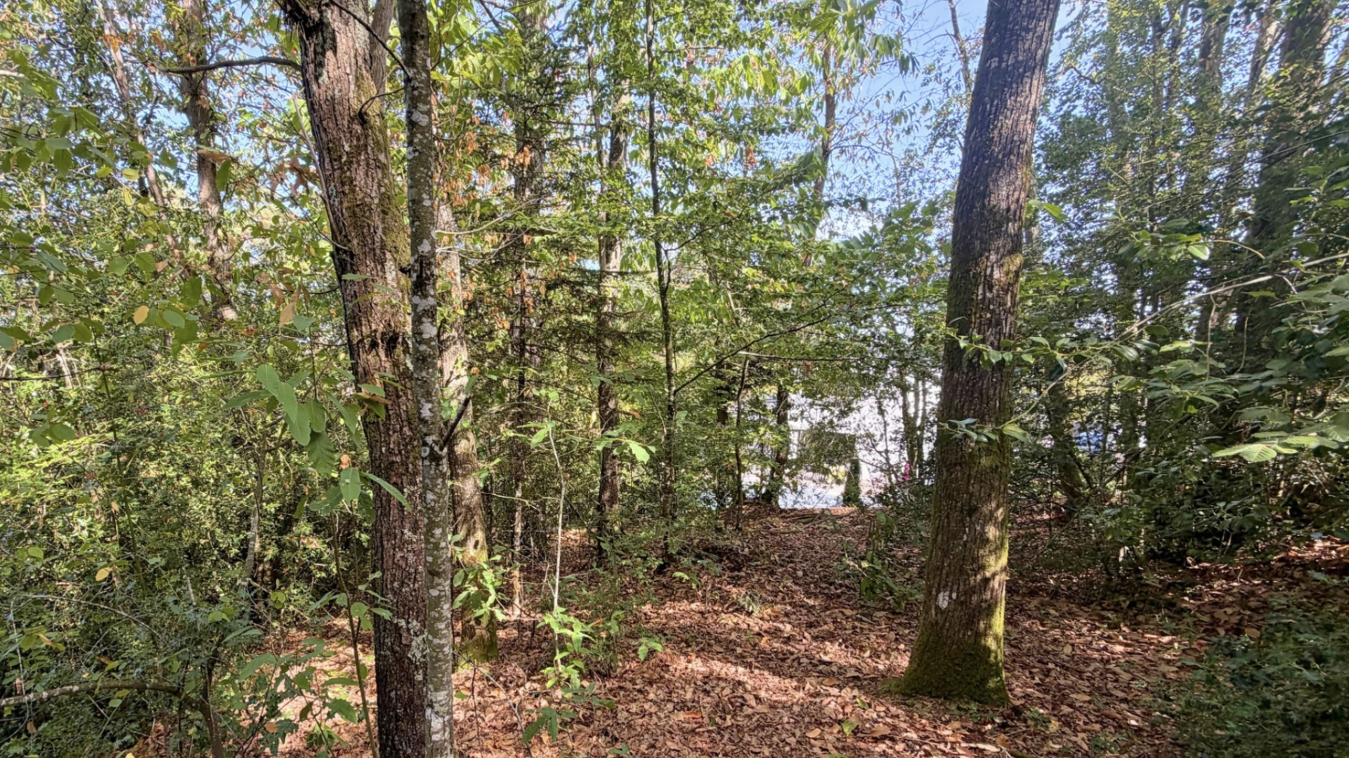 terrain constructible d'environ 900 m2 sur pont-réan hors zone inondable · à Guichen · 140 400 €