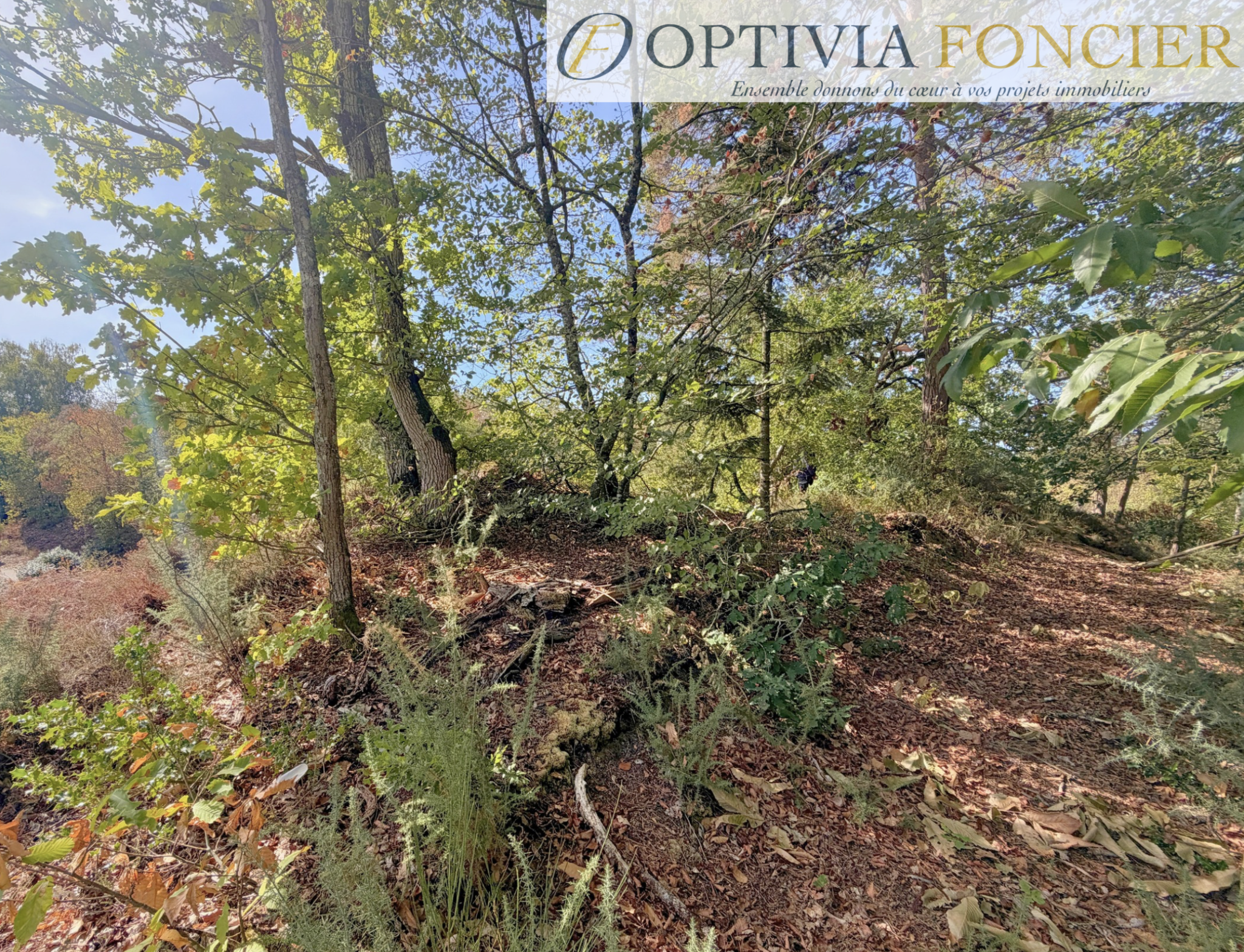 Terrain constructible d'environ 900 m2 sur Pont-Réan hors zone inondable